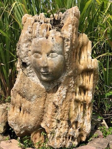 Charlie's Custom Tours Puerto Rico