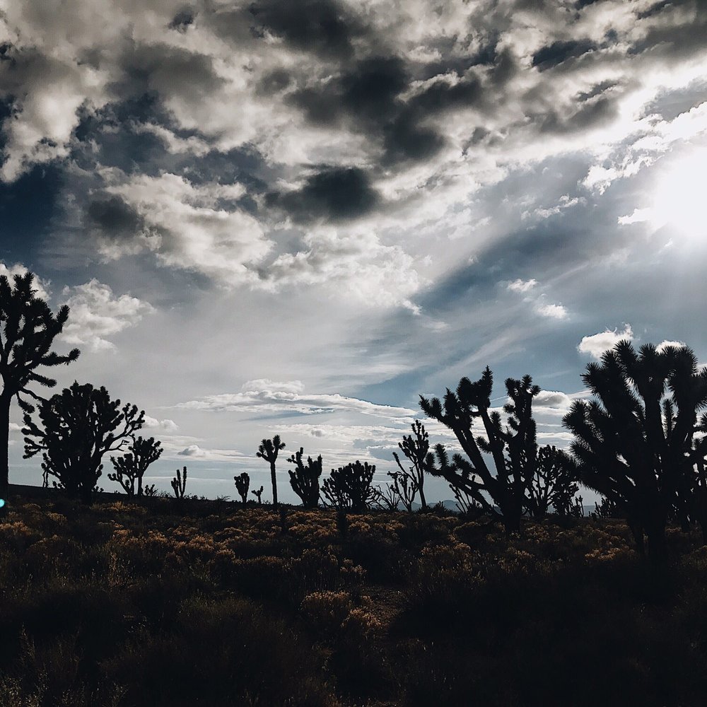 Mojave Desert - Hiking Near Me - Newberry Springs, California