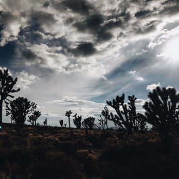Mojave Desert - Hiking Near Me - Newberry Springs, California