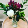 Photo of Blooms by Lilly Rose