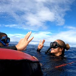 Composure Freediving