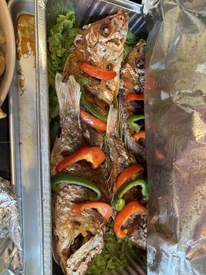 HAVANA 86 - Authentic Cuban Flavor by null