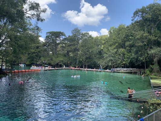 Fanning Springs State Park by null