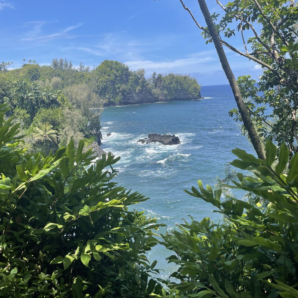 Onomea Bay - Local Flavor Near Me Onomea Bay - Local Flavor Near Me
