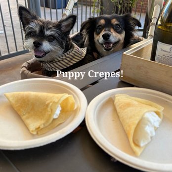 Foch Café & Bistro - The puppy crepes are Louis and Theodore approved! - New American Near Me - Tempe, Arizona Foch Café & Bistro - The puppy crepes are Louis and Theodore approved! - New American Near Me - Tempe, Arizona
