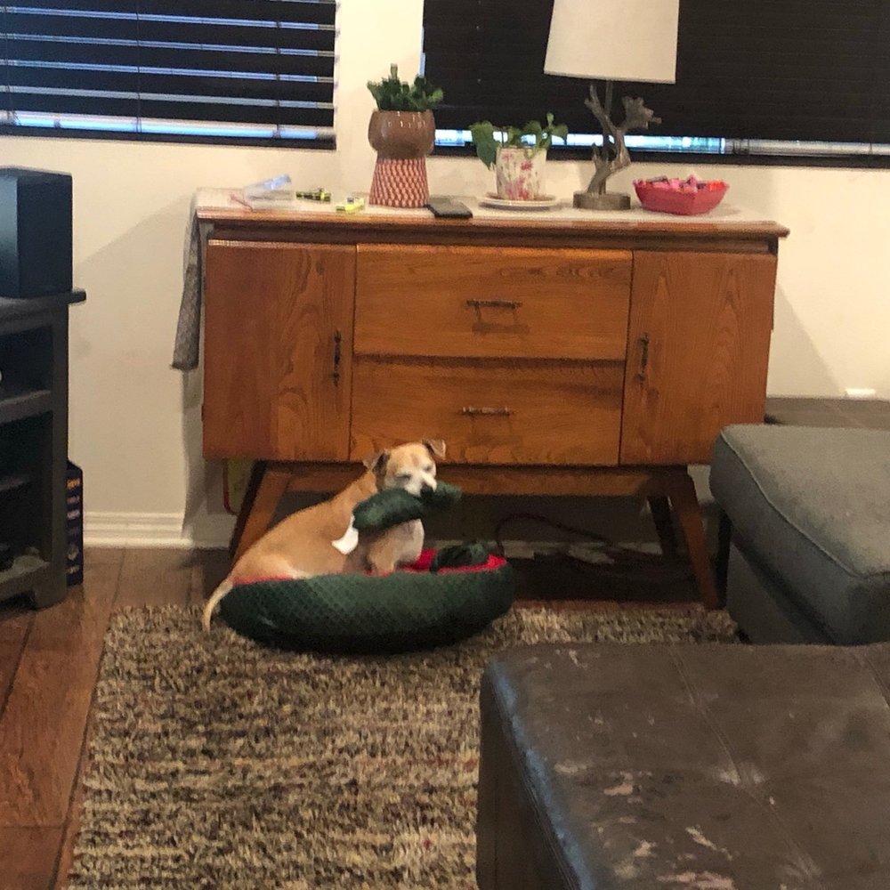 Dusting and vacuum Dusting and vacuum