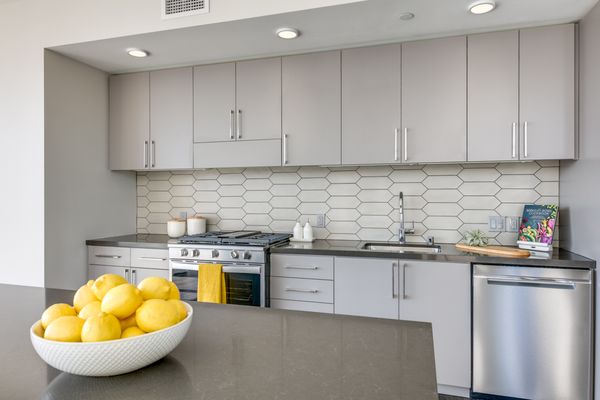 1717 Webster by null