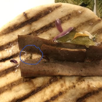 Gobbie's Sports Pub & Eatery - Gyro platter, watch out for bugs in your food!!! - Sports Bars Near Me - Galena, Illinois Gobbie's Sports Pub & Eatery - Gyro platter, watch out for bugs in your food!!! - Sports Bars Near Me - Galena, Illinois
