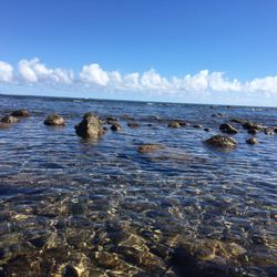 Bathtub Beach - This has a wall of rocks around it, so crystal clear