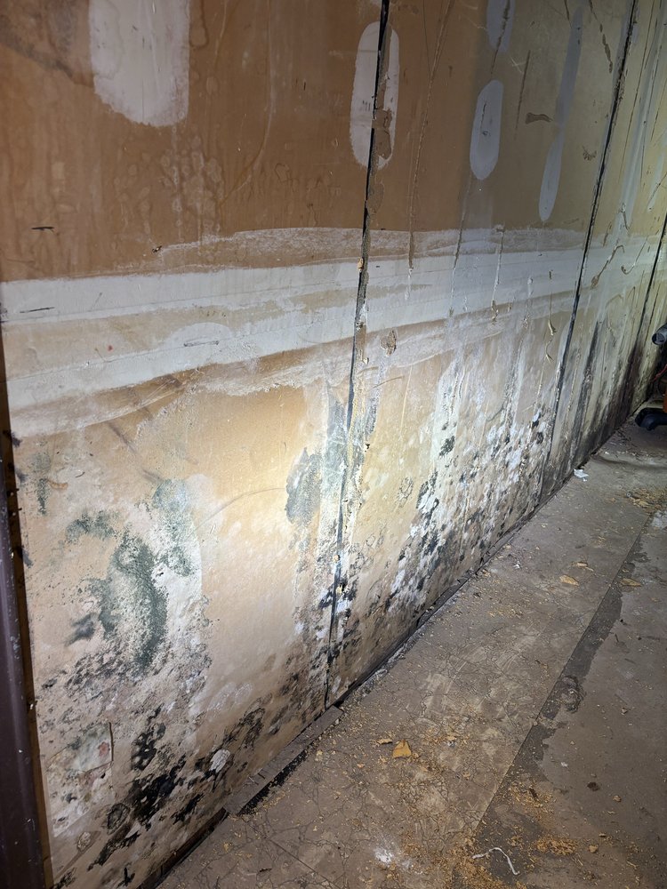 Tait Abate Mold Elimination - mold inspector in Staten Island, NY