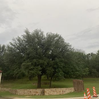 C&A Ranch - Tree - Ranches Near Me