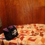 Photo of Sand Lake Pines Resort & Campground