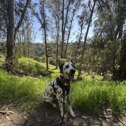 Wildcat Canyon Regional Park