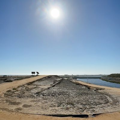 Bolsa Chica Ecological Reserve by null
