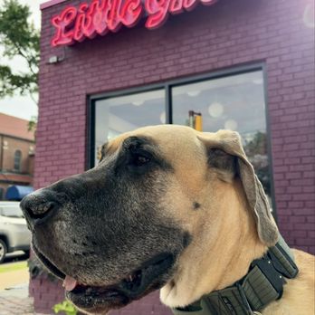 Little Ghost - Dog friendly seating - Hot Dogs Near Me - Ferndale, Michigan