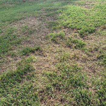 Beach Environmental - Pest Control Near Me - Riviera Beach, Florida