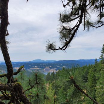 Timberline Adventures - View from platform - Tours Near Me - Coeur d'Alene, Idaho Timberline Adventures - View from platform - Tours Near Me - Coeur d'Alene, Idaho