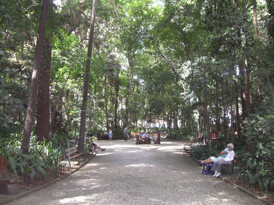 Parque Trianon by null