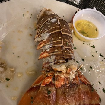 Boston Fish Market - Rock Lobster instead of Maine Lobster - Seafood Markets Near Me - Wheeling, Illinois Boston Fish Market - Rock Lobster instead of Maine Lobster - Seafood Markets Near Me - Wheeling, Illinois