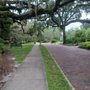 Photo of Lake Lawsona Historic District