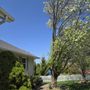 Photo of Mb Tree Service