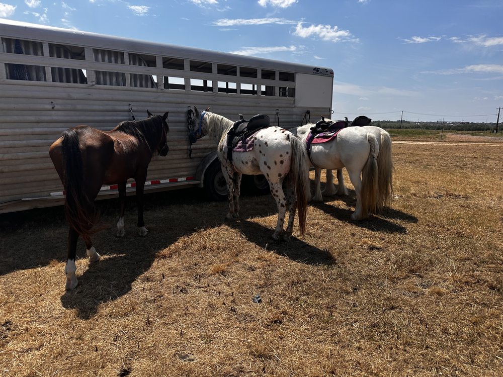 Bella Peregrina Ranch - equestrian in Pflugerville, TX