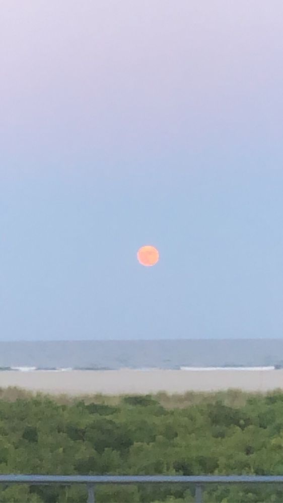 FLEUR DE LIS BEACH RESORT 23 Photos & 33 Reviews 6105 Ocean Ave, Wildwood Crest, New Jersey