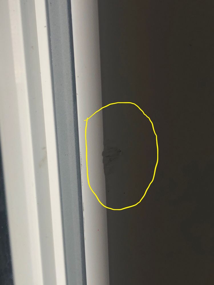 PET DOOR PRO Updated July 2024 11 Photos & 10 Reviews Parker