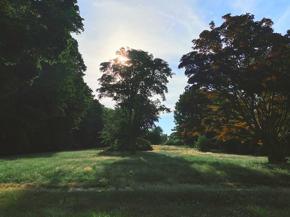 BLUE CIRCLE YOGA Updated August 2024 576 Washington St, Boston