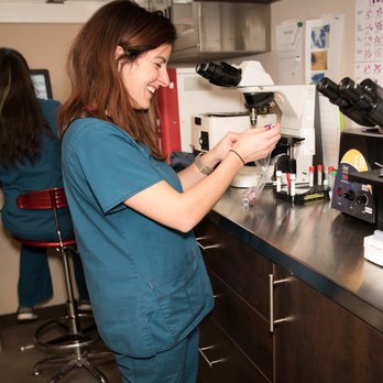Bergen County Veterinary Center - On Site Lab - Veterinarians Near Me - Waldwick, New Jersey