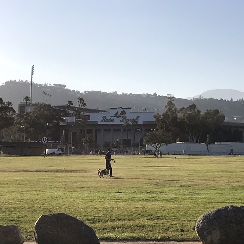 Grassy lawn with the Rose Bowl in the background. Grassy lawn with the Rose Bowl in the background.