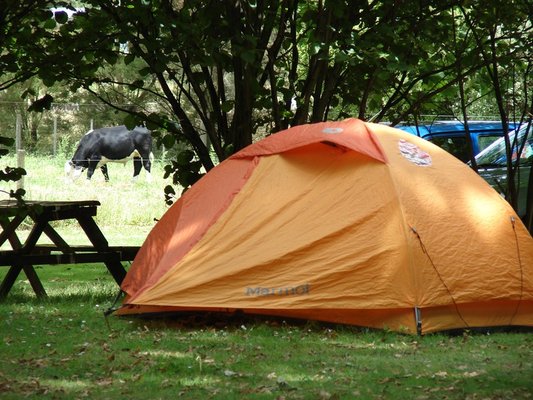 Te Aroha Holiday Park - Campground & Hot Pool by null