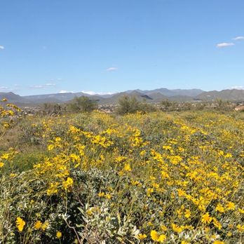 Desert Hills Trailhead - 3-15-2020 - Hiking Near Me - Phoenix, Arizona Desert Hills Trailhead - 3-15-2020 - Hiking Near Me - Phoenix, Arizona