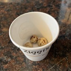 Ziggi beans! So good.
