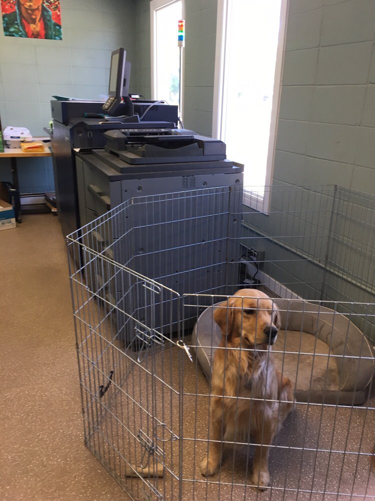 MINUTEMAN PRESS Updated September 2024 12421127 Avenue NW