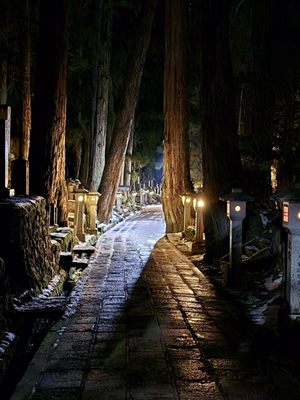 Okunoin Cemetery by null