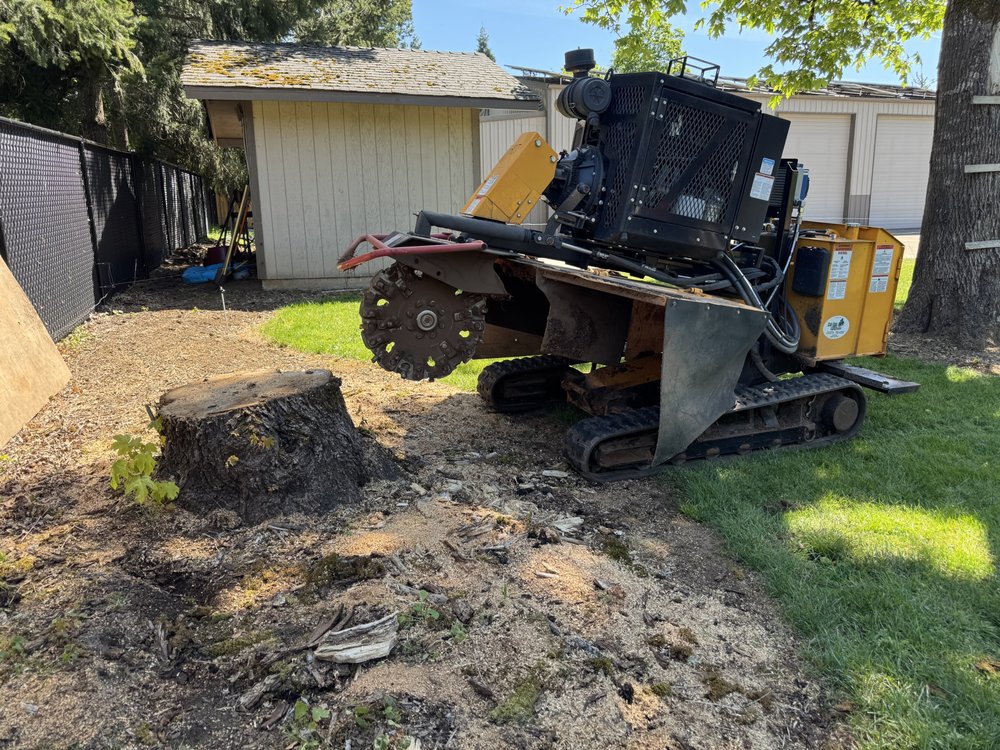 AG Stump Grinding - tree service in Silverton, OR