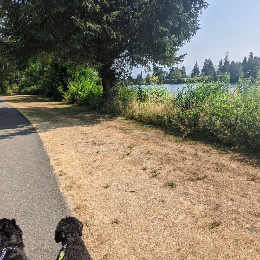 Lowell Riverfront Park - Parks Near Me - Everett, Washington Lowell Riverfront Park - Parks Near Me - Everett, Washington