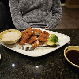 Chicken Katsu Chicken Katsu
