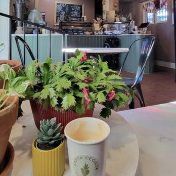 Santa Cecilia - Cafes Near Me - Albuquerque, New Mexico
