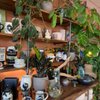 GreenSpaceDesign By Jude gift card