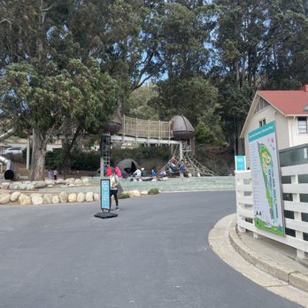 Bay Area Discovery Museum - Children's Museums Near Me - Sausalito, California