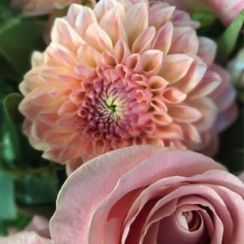 Vow Pop - Venues & Event Spaces Near Me - Modesto, California