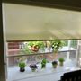 Photo of Heritage Window Coverings