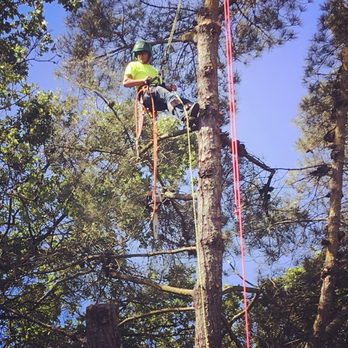 Malotte Enterprises - Removals of all types. - Tree Services Near Me Malotte Enterprises - Removals of all types. - Tree Services Near Me