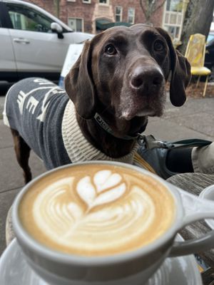Current Coffee by null
