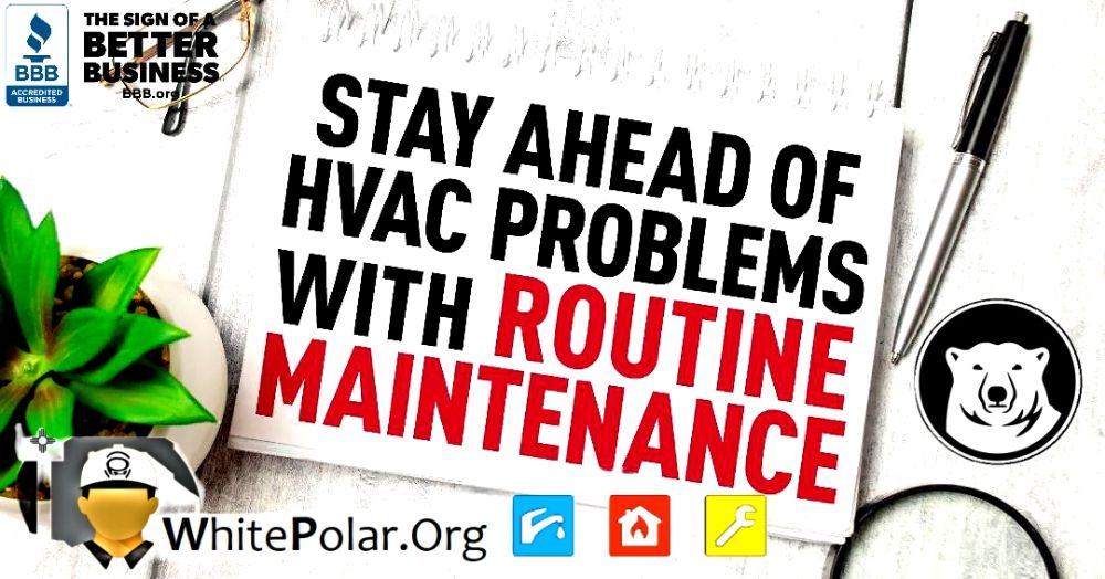 Slide of White Polar