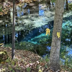 Very blue water from natural spring