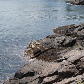 Megunticook Campground - Campgrounds Near Me - Rockport, Maine Megunticook Campground - Campgrounds Near Me - Rockport, Maine