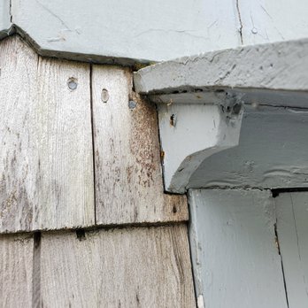 P.I. Pest Investigators - Pest Control Near Me - Hyannis, Massachusetts P.I. Pest Investigators - Pest Control Near Me - Hyannis, Massachusetts